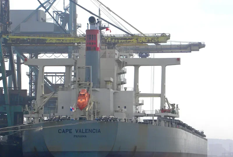 CAPE VALENCIA Bulk Carrier IMO 9578684 photo 7