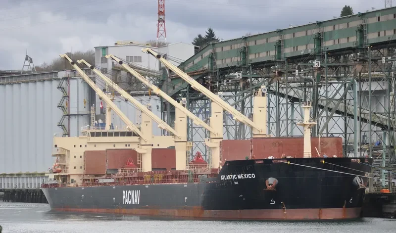 ATLANTIC MEXICO Bulk Carrier IMO 9578775 photo 10