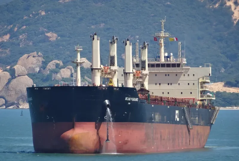 IKAN PARANG Bulk Carrier IMO 9578787 photo 2