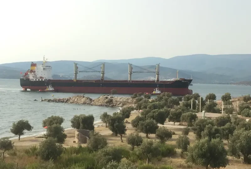 GULNAK Bulk Carrier IMO 9579028