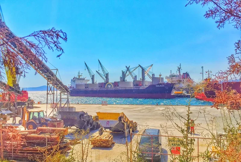 GULNAK Bulk Carrier IMO 9579028 photo 4