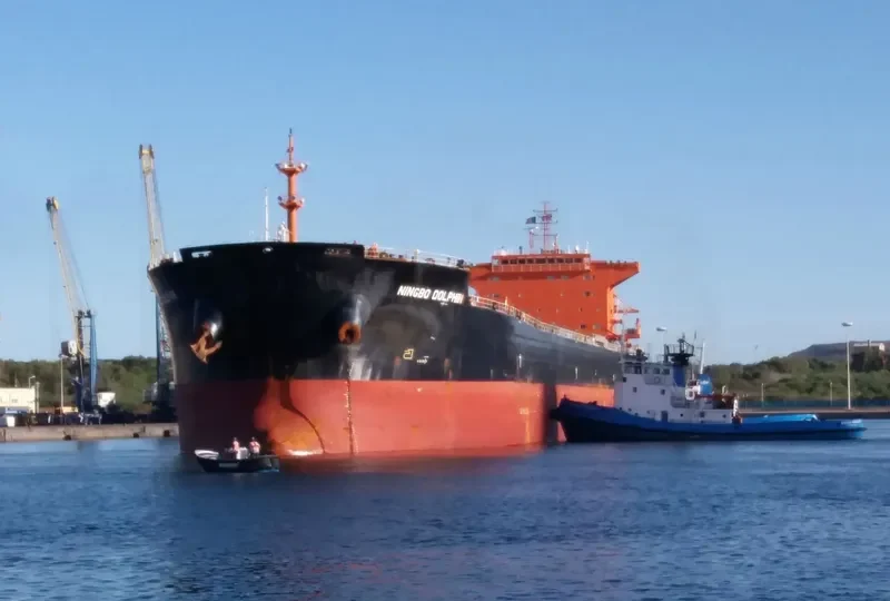 HORIZON JADE Bulk Carrier IMO 9579054 photo 2