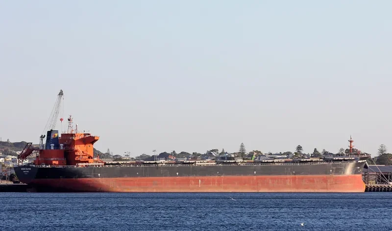HORIZON JADE Bulk Carrier IMO 9579054 photo 9
