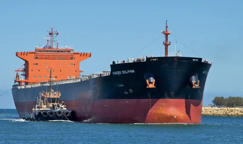HORIZON JADE Bulk Carrier IMO 9579054 photo 10