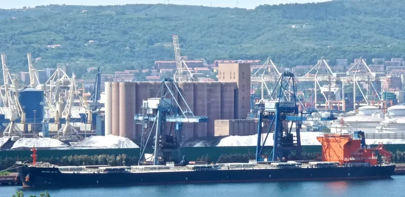 NINGBO SEAL Bulk Carrier IMO 9579066 photo 6