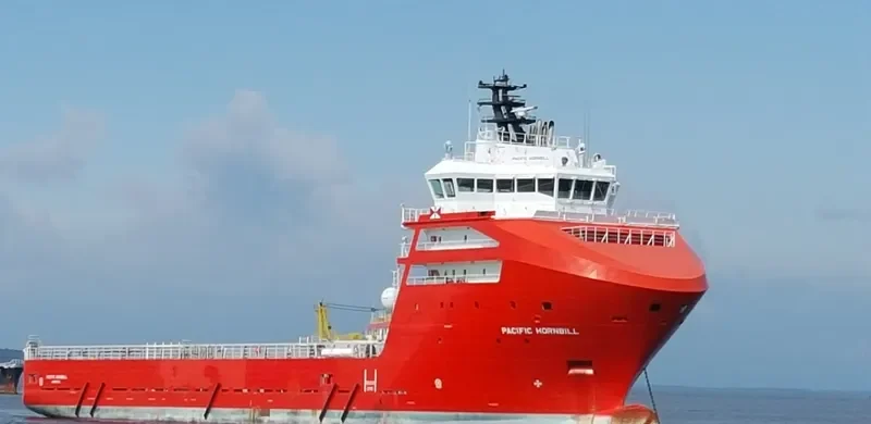 PACIFIC HORNBILL Offshore Vessel IMO 9579119