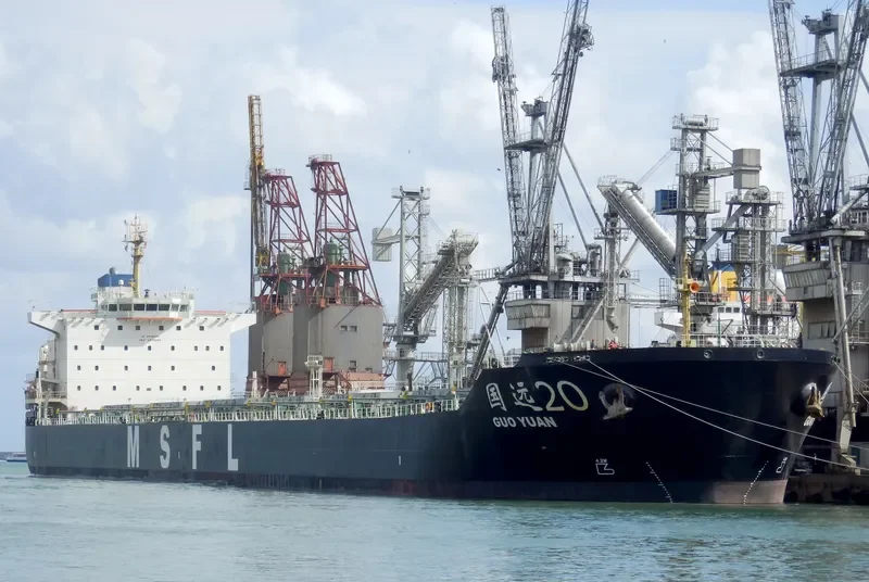 GUO YUAN 20 Bulk Carrier IMO 9579286 photo 3
