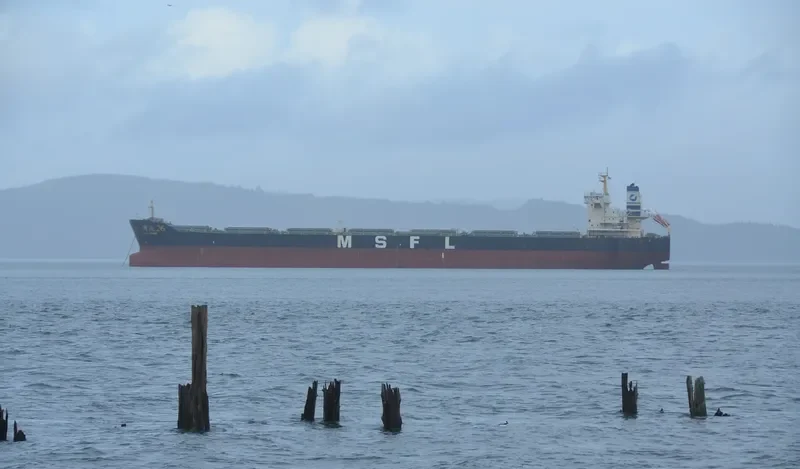GUO YUAN 26 Bulk Carrier IMO 9579303 photo 2