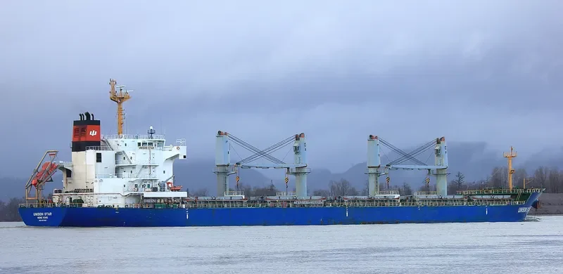 UNISON STAR Bulk Carrier IMO 9579391 photo 2