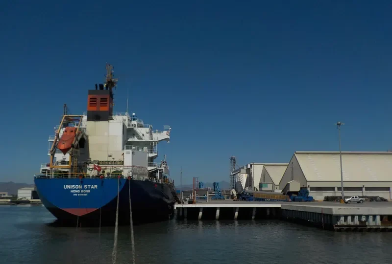 UNISON STAR Bulk Carrier IMO 9579391 photo 6