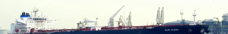 ALMI GLOBE Tanker IMO 9579511 photo 10
