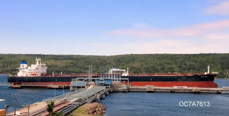 ALMI SUN Tanker IMO 9579535