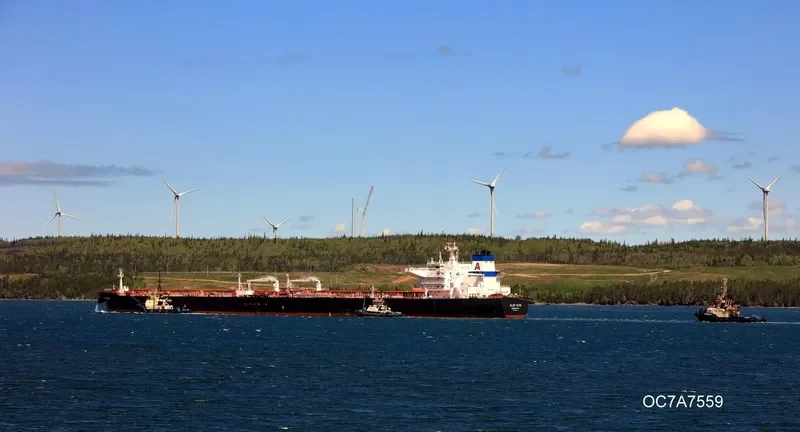 ALMI SUN Tanker IMO 9579535 photo 3