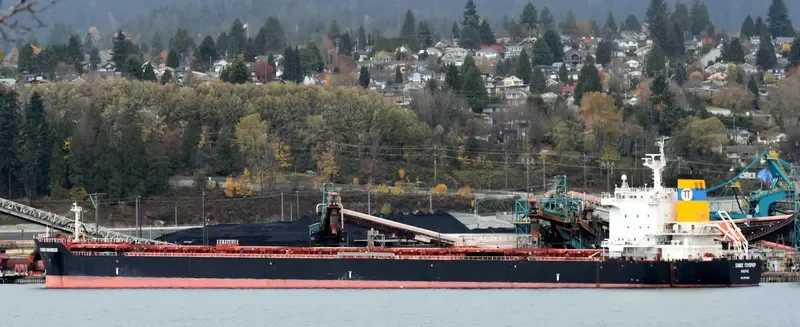 SAMOS WARRIOR Bulk Carrier IMO 9579626