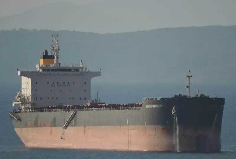 SAMOS WARRIOR Bulk Carrier IMO 9579626 photo 5