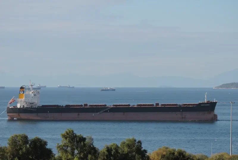 SAMOS WARRIOR Bulk Carrier IMO 9579626 photo 6