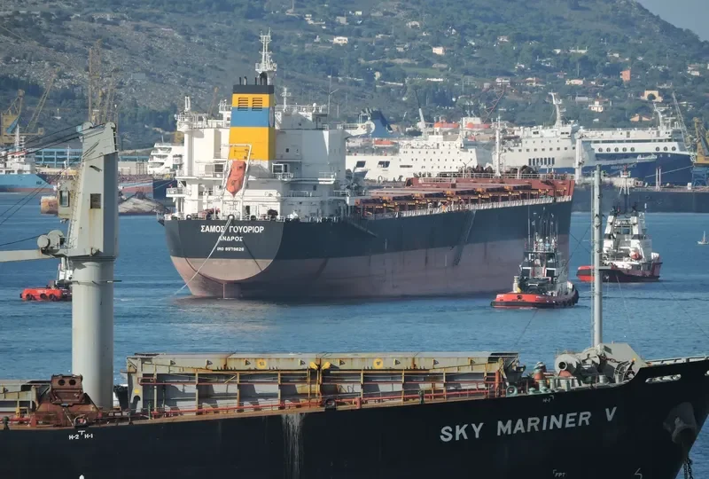 SAMOS WARRIOR Bulk Carrier IMO 9579626 photo 8