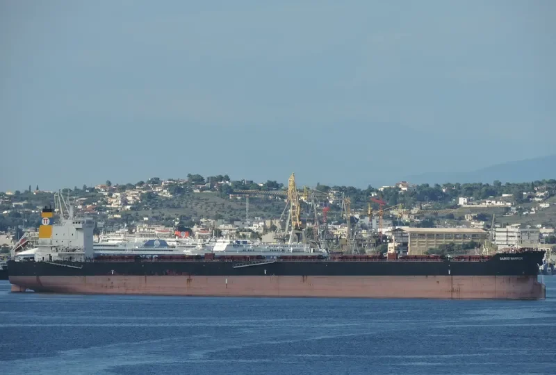 SAMOS WARRIOR Bulk Carrier IMO 9579626 photo 9