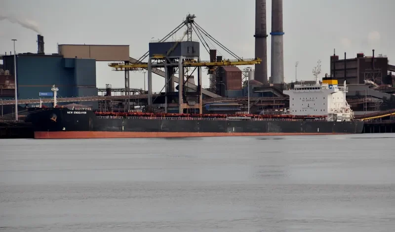 NEW ENDEAVOR Bulk Carrier IMO 9579638 photo 7