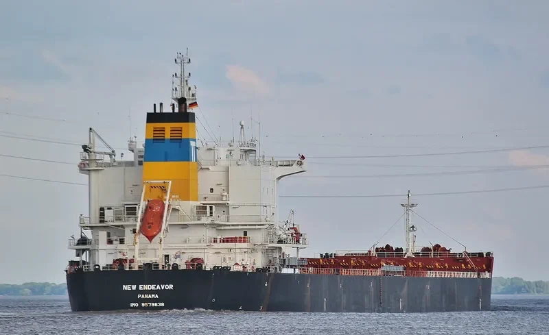NEW ENDEAVOR Bulk Carrier IMO 9579638 photo 9