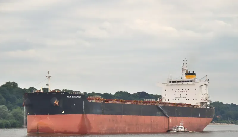 NEW ENDEAVOR Bulk Carrier IMO 9579638 photo 10