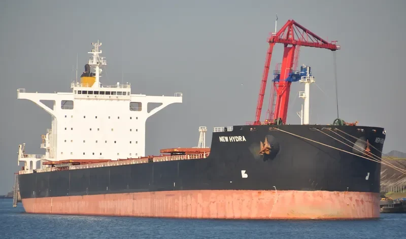 NEW HYDRA Bulk Carrier IMO 9579781 photo 7