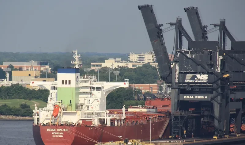 BERGE RINJANI Bulk Carrier IMO 9579884 photo 3