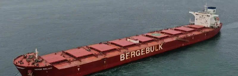 BERGE RINJANI Bulk Carrier IMO 9579884 photo 4