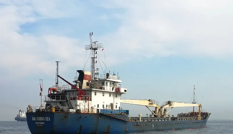 CHEN GLORY 9 Bulk Carrier IMO 9579963 photo 2