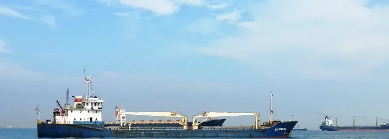 CHEN GLORY 9 Bulk Carrier IMO 9579963 photo 3