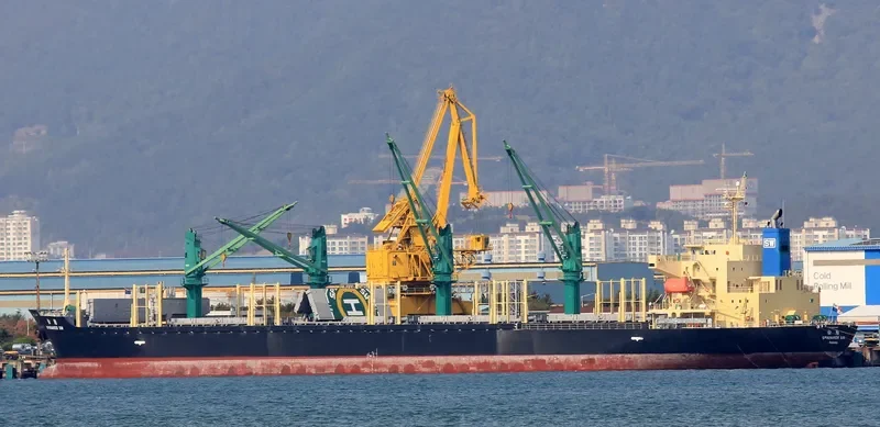 SPINNAKER SW Bulk Carrier IMO 9580003