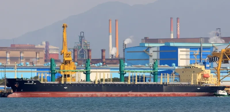 SPINNAKER SW Bulk Carrier IMO 9580003 photo 2