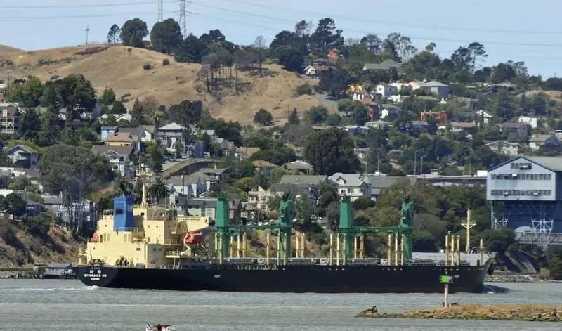 SPINNAKER SW Bulk Carrier IMO 9580003 photo 4