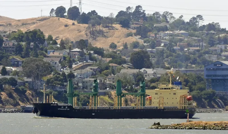 SPINNAKER SW Bulk Carrier IMO 9580003 photo 8