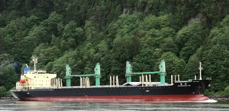 SPINNAKER SW Bulk Carrier IMO 9580003 photo 10