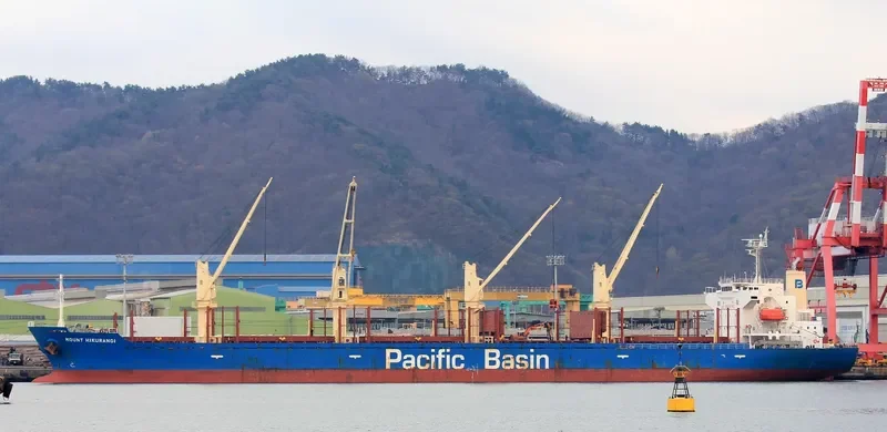 MOUNT HIKURANGI Bulk Carrier IMO 9580039
