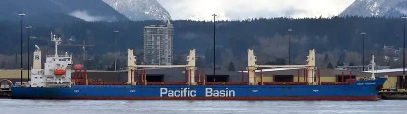 MOUNT HIKURANGI Bulk Carrier IMO 9580039 photo 8
