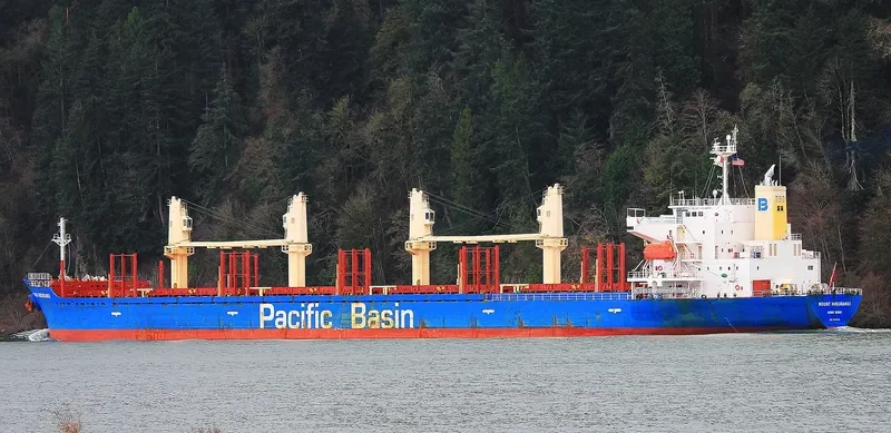 MOUNT HIKURANGI Bulk Carrier IMO 9580039 photo 9