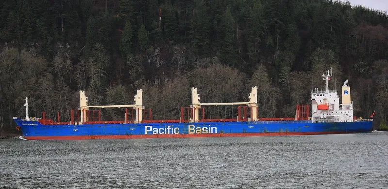 MOUNT HIKURANGI Bulk Carrier IMO 9580039 photo 10