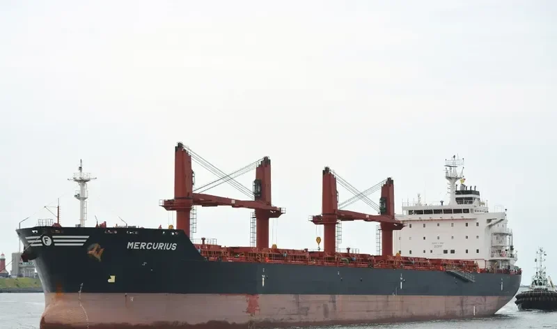 MERCURIUS Bulk Carrier IMO 9580091