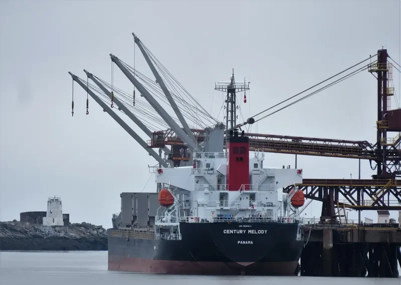 CENTURY MELODY Bulk Carrier IMO 9580211