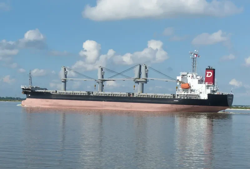 CENTURY MELODY Bulk Carrier IMO 9580211 photo 3