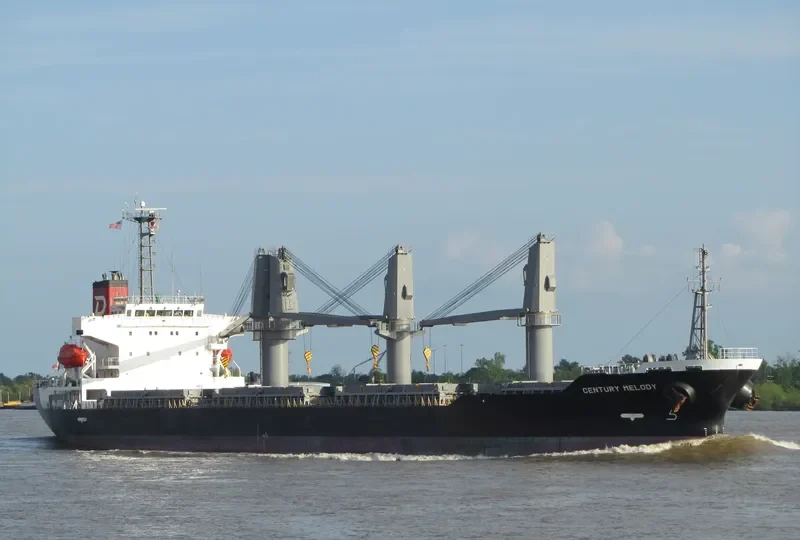 CENTURY MELODY Bulk Carrier IMO 9580211 photo 10