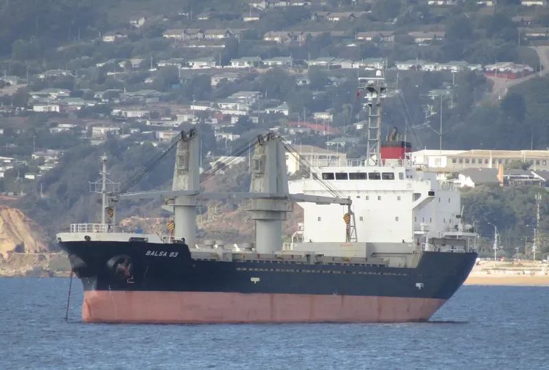 BALSA 83 General Cargo IMO 9580247 photo 9