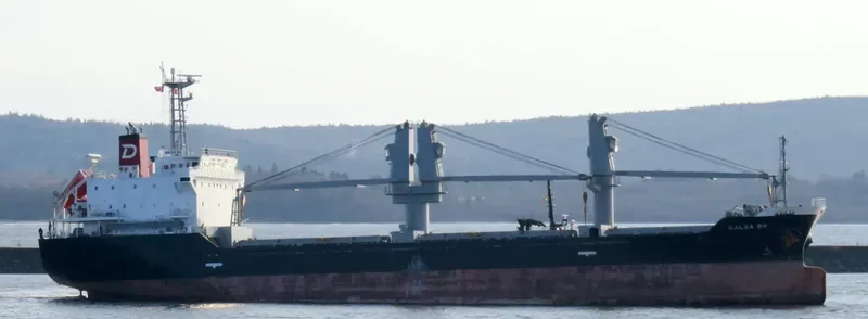 BALSA 84 General Cargo IMO 9580259
