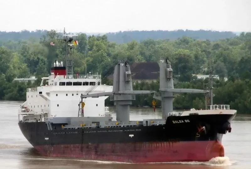BALSA 86 General Cargo IMO 9580273 photo 9
