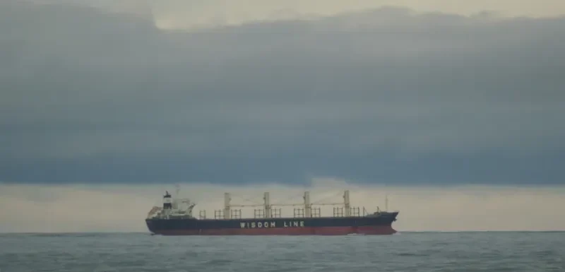POAVOSA WISDOM III Bulk Carrier IMO 9580314