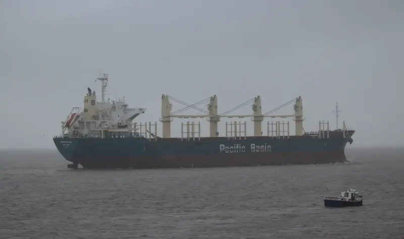 ESPERANCE BAY Bulk Carrier IMO 9580326 photo 3