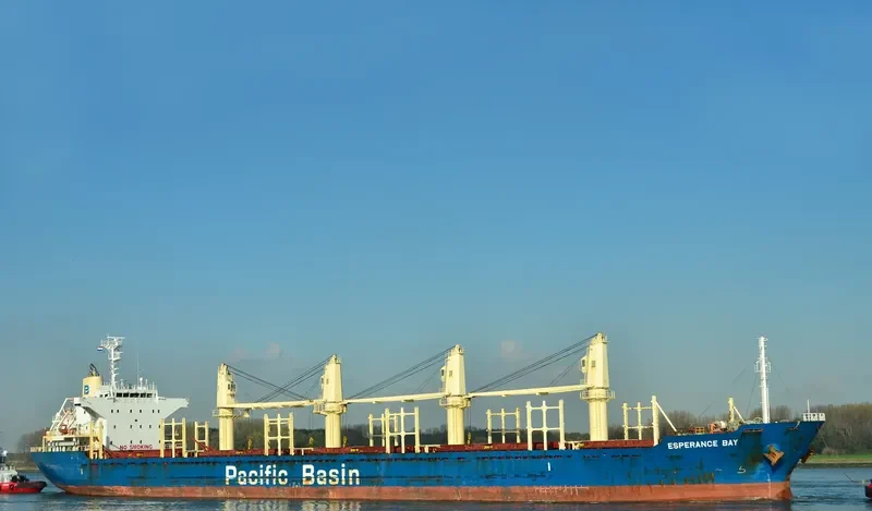 ESPERANCE BAY Bulk Carrier IMO 9580326 photo 4