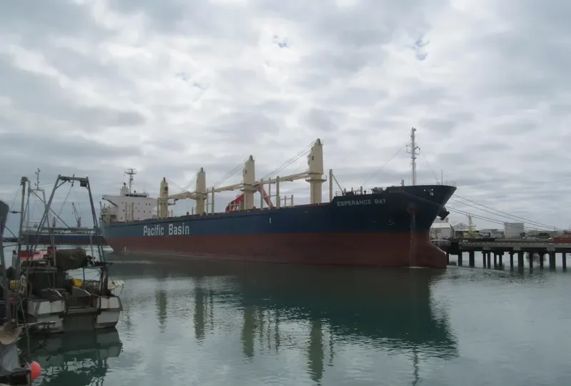 ESPERANCE BAY Bulk Carrier IMO 9580326 photo 8